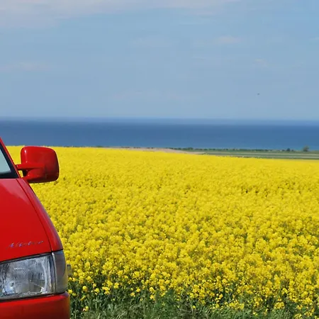 In Mit Terrasse Und Garten