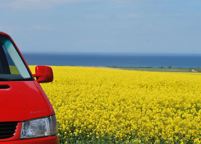 In Mit Terrasse Und Garten